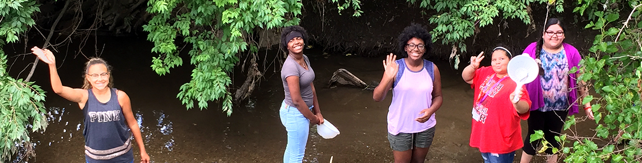 students wading in a creek